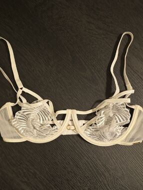 Bluebella Sheer Embroidered Underwire Bra in Cream